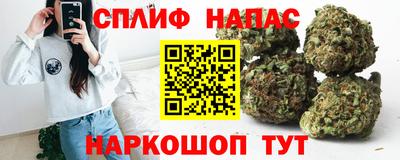 мдпв Гусев