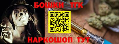 мдпв Гусев