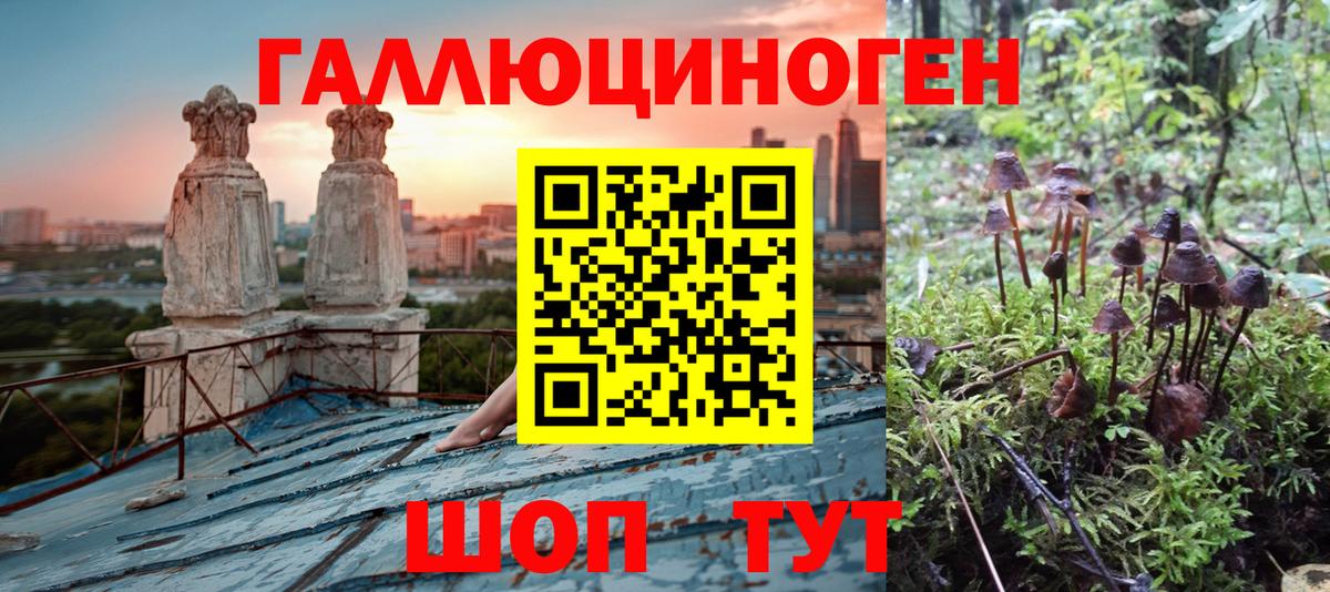 Галлюциногенные грибы Psilocybe  Вход с VPN  Нижний Тагил 